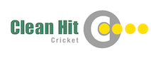 Clean Hit Cricket Logo