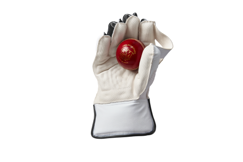 AION wkt glove ball 2025 RT medium